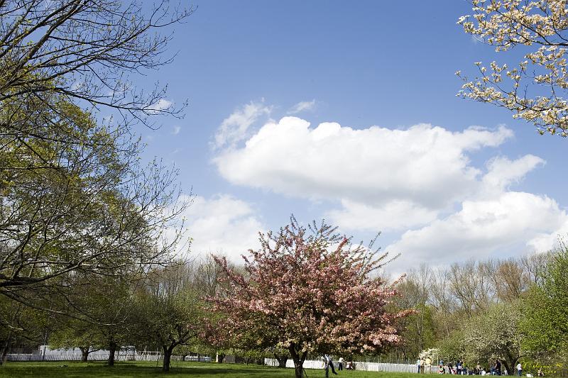 20080504_154713 D3 F FS.jpg - Broadmoor Farms, Bedford, NY